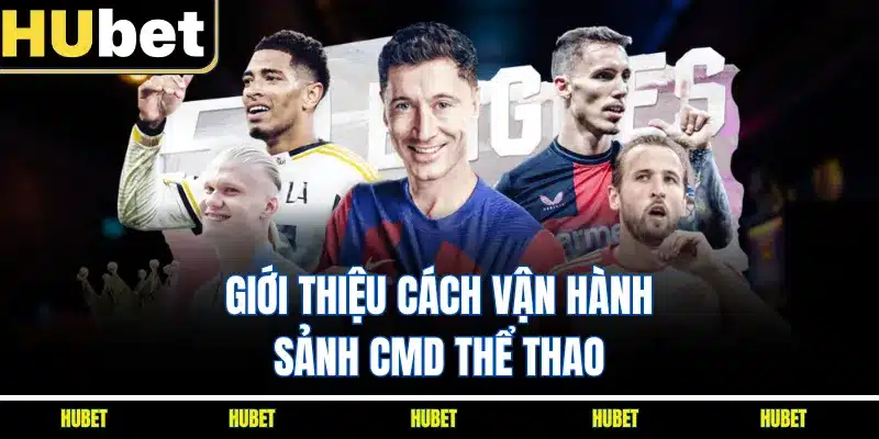 Giới thiệu cách vận hành sảnh CMD thể thao