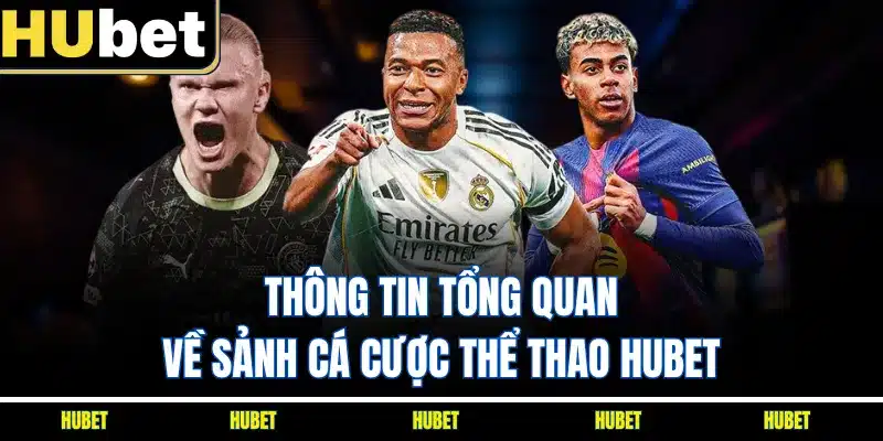Thông tin tổng quan về sảnh cá cược thể thao HUBET