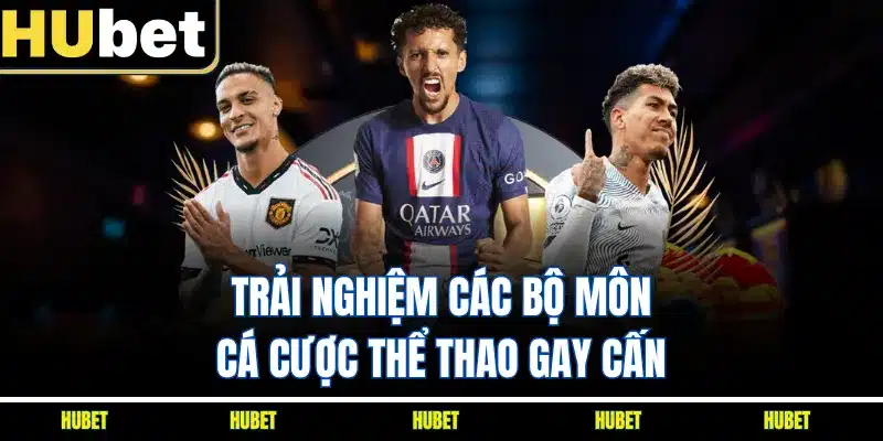 Trải nghiệm các bộ môn cá cược thể thao gay cấn